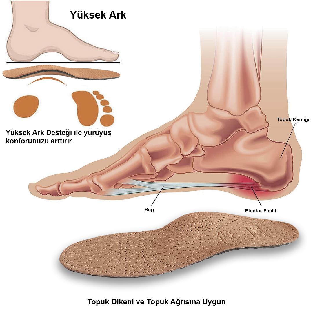 LT01 Deri Ortopedik Tabanlık